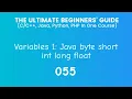55 Java Variables Practicals