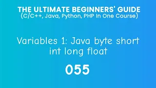 55 Java Variables Practicals