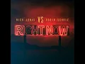Download Lagu Nick Jonas - Right Now (feat. Robin Schulz) (slowed + reverb)