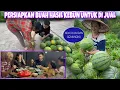 Download Lagu PERSIAPAN JUAL BUAH HASIL KEBUN, PANEN BANYAK SEMANGKA DI DESA CHINA 