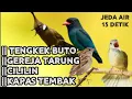Download Lagu 🔴MASTERAN MURAI MUDA CALON JUARA❗TENGKEK BUTO GEREJA CILILIN KAPAS TEEMBAK ❗❗