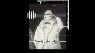 مش كل جرو اسلام كابونجا حالات واتس 