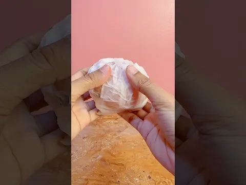 ASMR dumpling squishy tissue beku