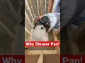 Why prefab shower pans are awesome
