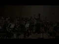 Arrival of The Birds - Prílet vtákov, arr. Sebastian Wolf & D.Šoltisová