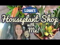 Houseplants at Lowes Plant Shop with Me Houseplants August 2022