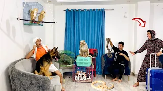 لما ابوك وامك يسافرو وتقلبو البيت حديقه حيوان السلسيلي 