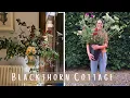 Download Lagu Welcome to Blackthorn Cottage | Growing \u0026 Arranging the Flowers for My First Wedding! #1