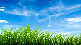 باقة من أجمل أناشيد قصص الأنبياء من إنتاج دار الحافظ بصوت عنان الخياط 9 أناشيد 