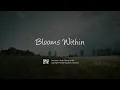 Download Lagu GMS Live - Blooms Within (Official Music Video)