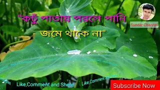  kachu patay parle pani baby naznin fk sundar channel