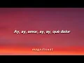 Vicente Fernández - Estos Celos (Letra)