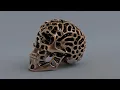 3D Reaction Diffusion Skull Sculpture