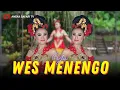 Download Lagu Yani - Wes Menengo (Official Music Video)