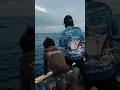 Download Lagu strike tenggiri di kapal karam probolinggo #remix #dj #mancing #kapalkaram #fishing #funny #viral