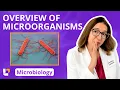 Overview of microorganisms Microbiology for Pre-Med Nursing Students leveluprn