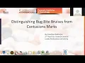 Distinguishing Bug Bite Bruises from Contusions Marks Paper7