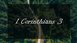 A reading of 1 Corinthians 3 from the New Living Translation