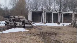                    دندنها