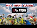 Download Lagu 🔴SUARA SOGON RIBUT🔴 SUARA PIKAT SOGON YANG SUSAH TURUN