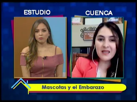 Mascotas y el embarazo