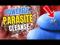 Download Lagu How to Get Rid of Parasites FAST | Dr Approved Parasite Protocol
