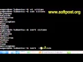 Sort command in Bash