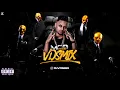 CROCANCIA MALIGNA - MC PR, MC Kalzin e MC Rafa 22 (DJ V.D.S Mix)