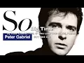 Peter Gabriel - Big Time (1986)