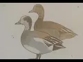 Do You Want to Know a Secret (Official Video) - Mathilda Homer