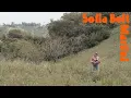 Download Lagu Sofia Bolt - Martini (Official Video)