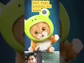 Download Lagu kucing japan konnichiwa sayonara ,kucing lucu 😊