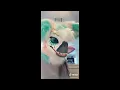 Dino mask tik tok