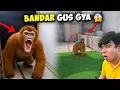 Lagu Jungli Monkey 🐒 Ghar Me Ghus Gya! Ghar Loot Liya 😱 Sw Pet House
