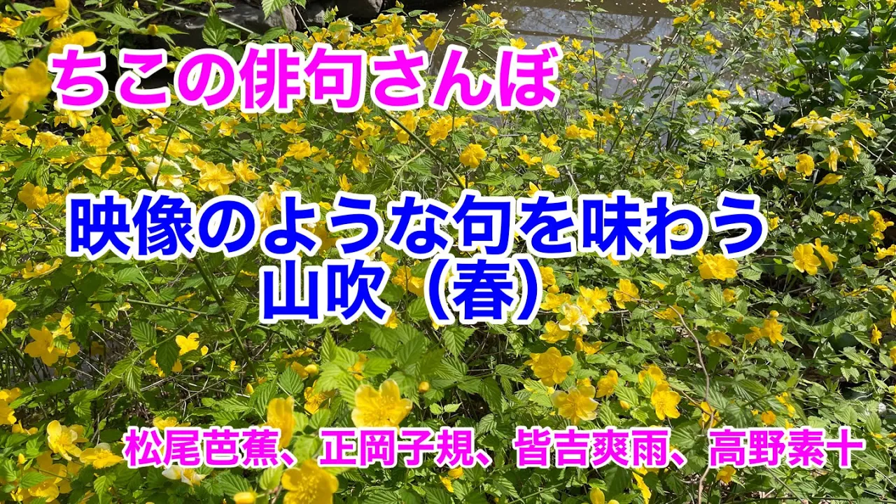 春の季語で脳トレ！俳句や会話にも使える一般的な言葉のアイデア集