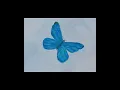 Download Lagu Flight of butterfly Flowers. Oil painting by Art Studio Nata Shemshur