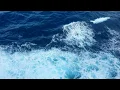 Beautiful Ocean Foam