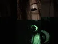Sadako vs Kayako