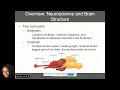 Chapter 2 An Integrative Approach to Psychopathology