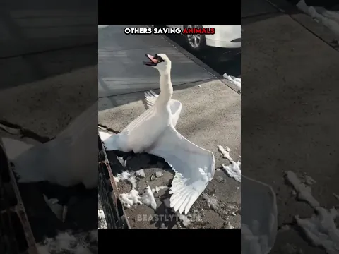 Others Saving Animals vs THIS GUY💀☠️️‍🔥🥶😲🤯💦🌊💧