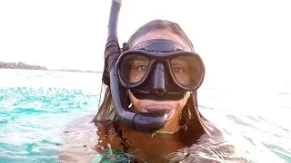 Ep.221 Margarida to the Rescue