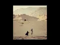 Aaron Kenny - Desert Caravan