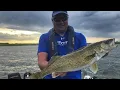 Van Hook Sakakawea Live Bait Rigging WALLEYE - Jason Mitchell Outdoors