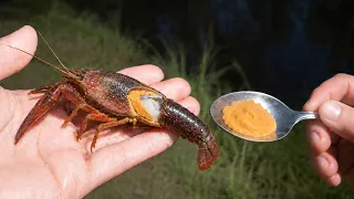 ザリガニのミソはまじで美味い