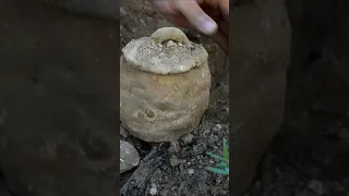 لحظة العثور على كنز روماني قديم دندنها
