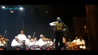 الموسيقار محمد الامين صولو العود وحياة ابتسامتك 