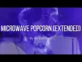 Lagu Bo Burnham - Microwave Popcorn (Extended)