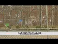 SC Inmates released early