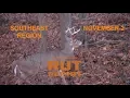 Southeast Rut Report Mature Bucks Are Chasing Does