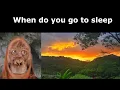 Download Lagu When do you go to sleep (Mr incredible becoming old)